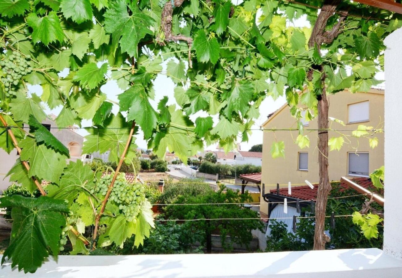 Apartments Snjeza 沃迪切 外观 照片