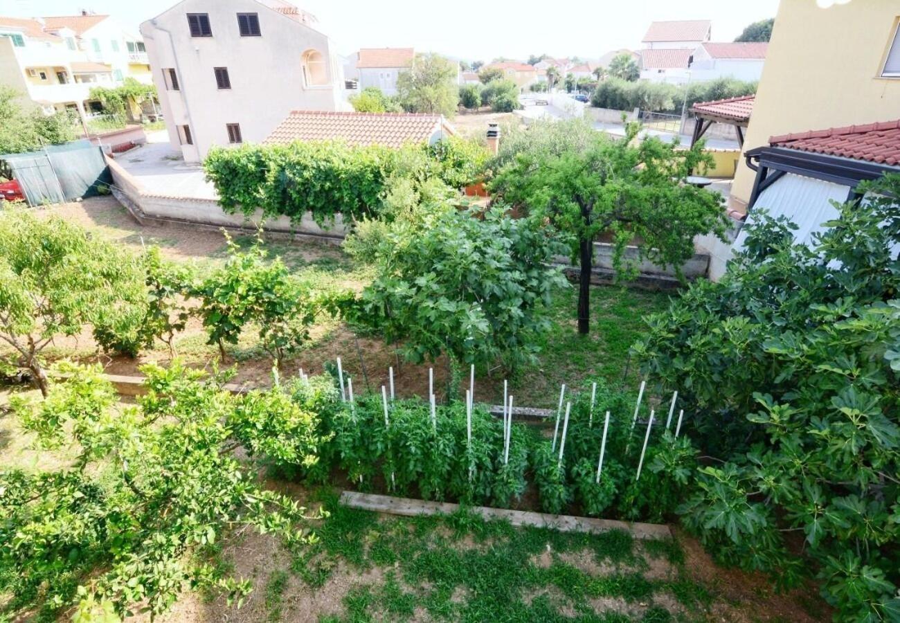 Apartments Snjeza 沃迪切 外观 照片